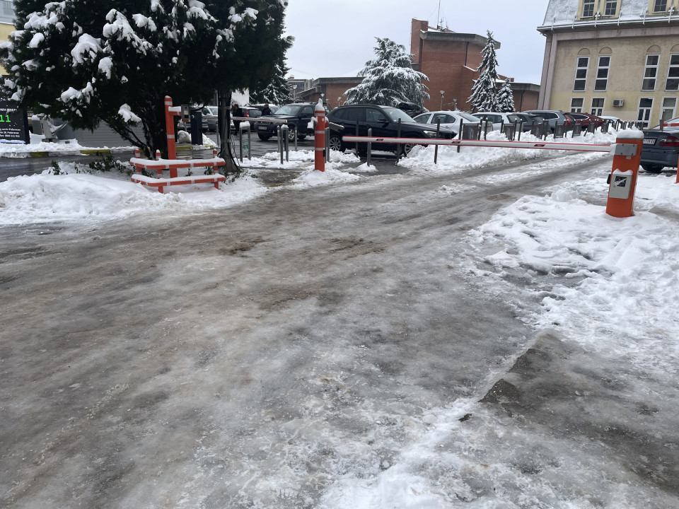 Foto: J. Milenković