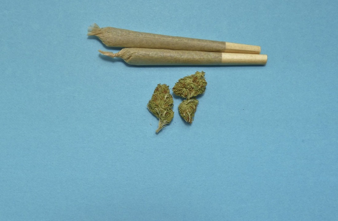 Foto/Pixabay marihuana ilustracija  
