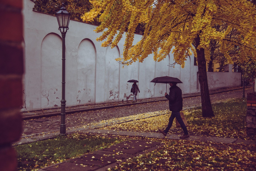 Foto: Ilustracija/pixabay