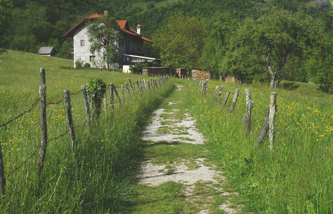 Foto:Ilustracija/Pixabay