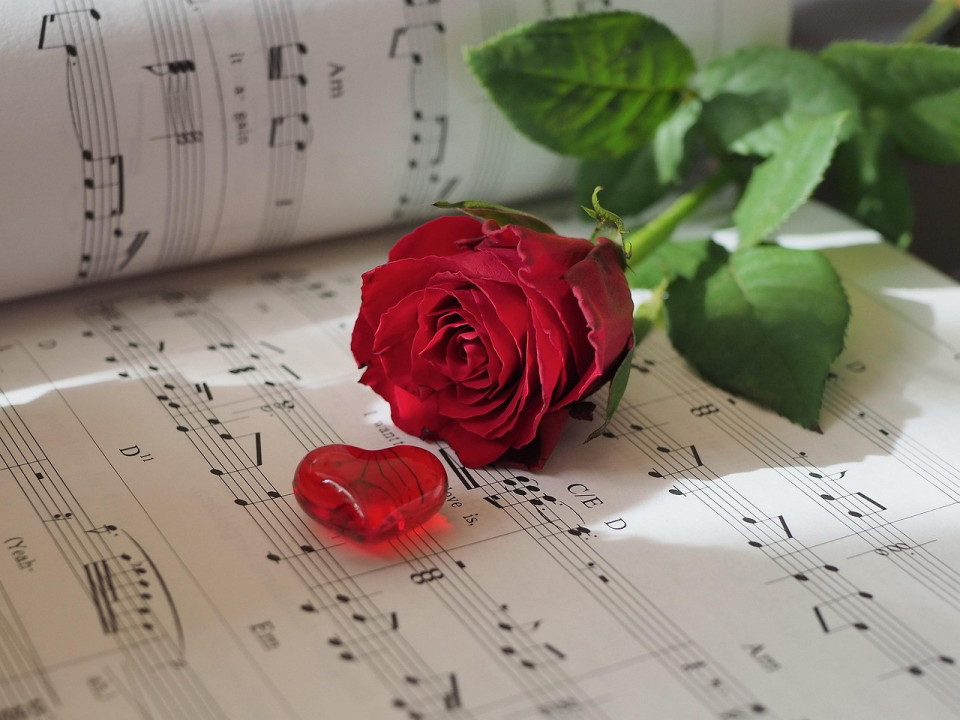 Foto:Ilustracija/Pixabay