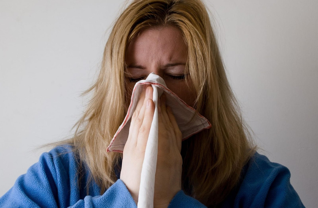 FOTO:Ilustracija/Pixabay