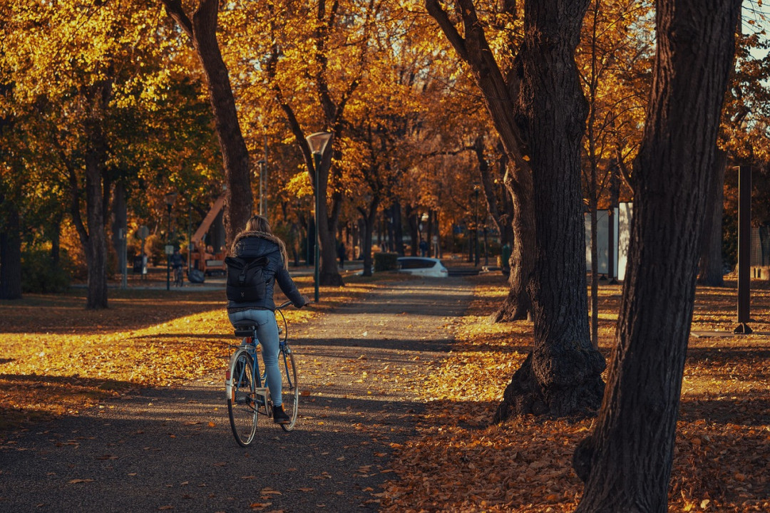 Foto: Ilustracija/Pixabay