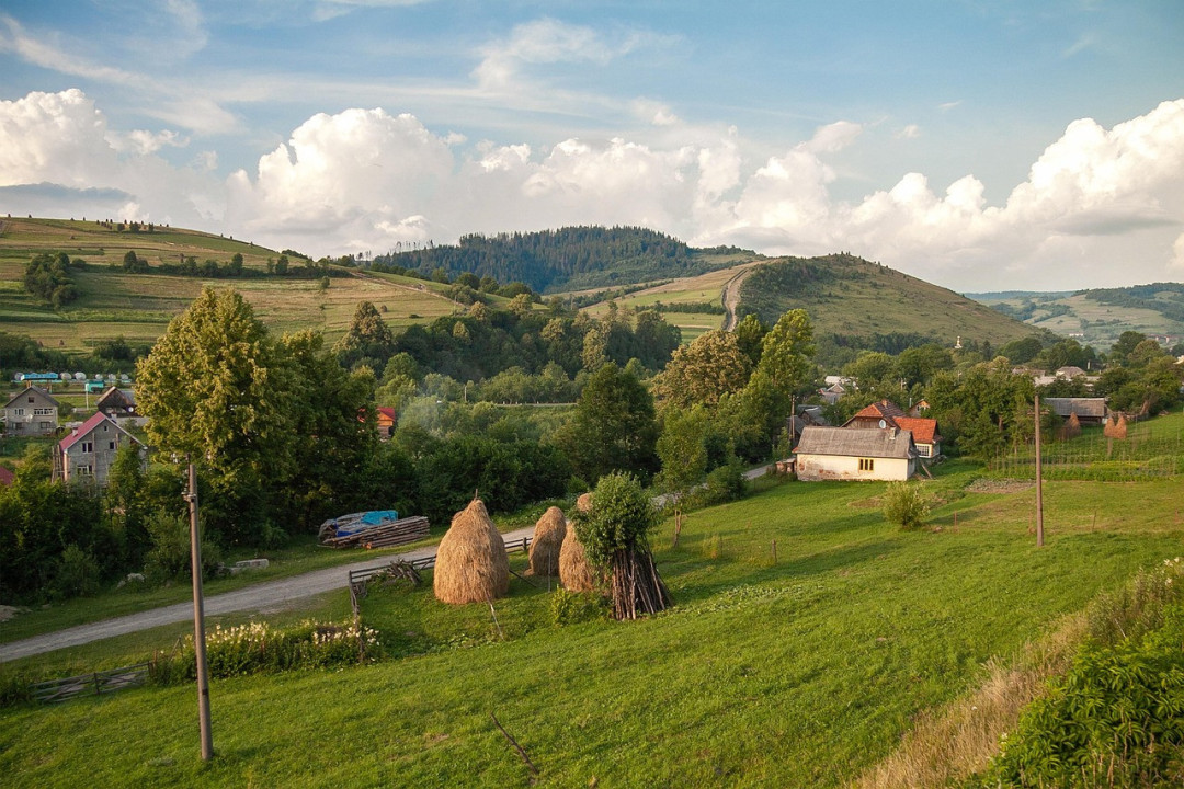 Foto:Ilustracija/Pixabay