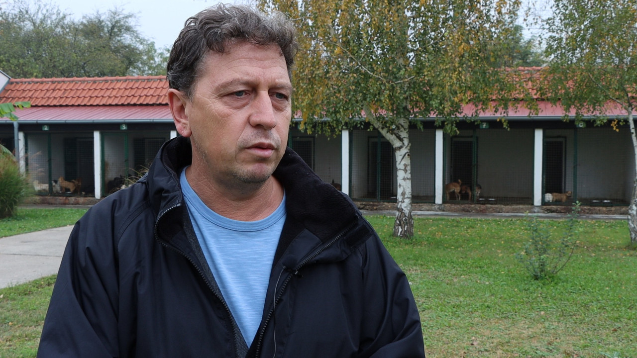 Zoran Milojković, rukovodilac prihvatilišta za pse i mačke
