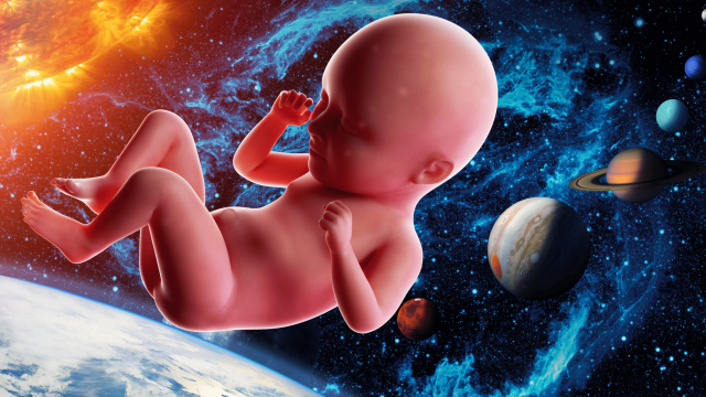 fetus na pozadini svemira, sa Zemljom u donjem levom uglu, Suncem u gornjem levom uglu i ostalim planetama Sunčevog sistema poređanim u nizu na desnoj strani