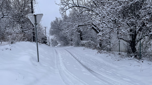 Sliku poslala Milica