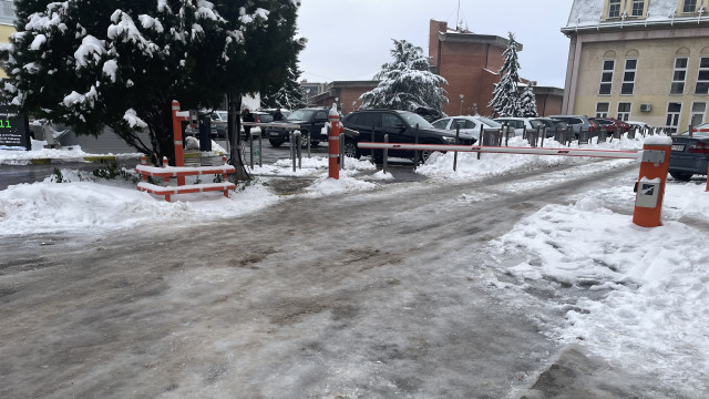 Foto: J. Milenković