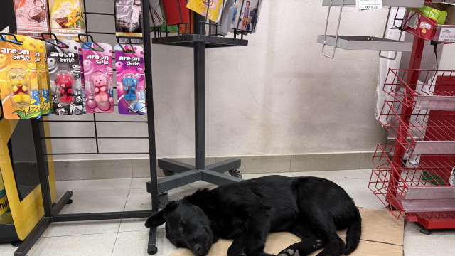 Fotografiju poslala Jasmina