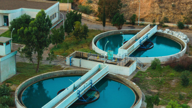 Foto: Ilustracija / Pexels / Amine KM