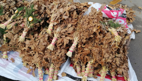 FOTO: N. Stojićević / Boom93 ?? 'image'