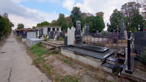 Staro groblje u Požarevcu. FOTO: M. Veljković / Boom93 ?? 'image'