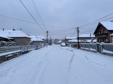 FOTO: Boom93/N.Stojićević ?? 'image'