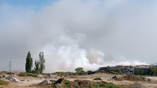 Foto: Zvezdan Veljković