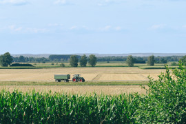 Foto:Ilustracija/Pixabay