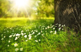 Foto: Ilustracija/Pixabay