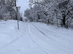 Sliku poslala Milica