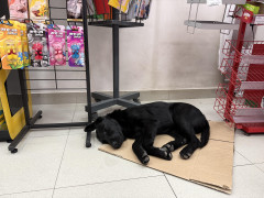 Fotografiju poslala Jasmina