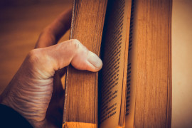 Foto:Ilustraciaja/Pixabay