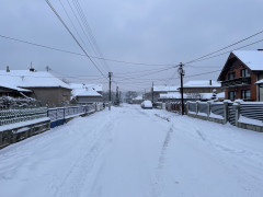 FOTO: Boom93/N.Stojićević