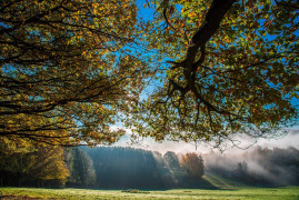 Foto: Ilustracija/Pixabay