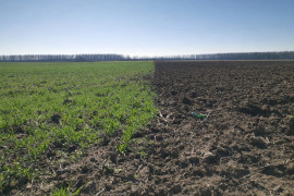 Foto:J.Rogožarski/Boom93