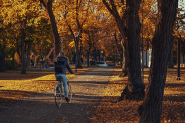 Foto: Ilustracija/Pixabay