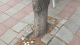 post